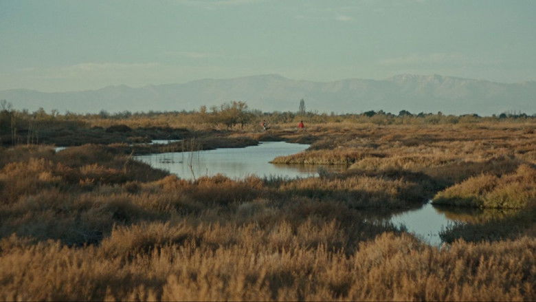 кадр из фильма Solo arrojaron