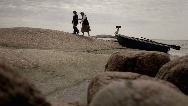 кадр из фильма The Summer Book