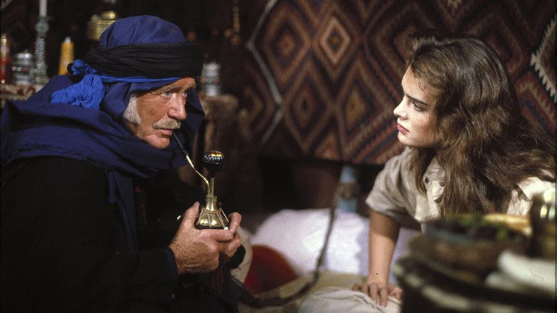 кадр из фильма Сахара