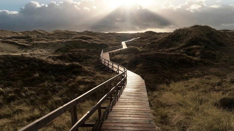 кадр из фильма Чёрный остров