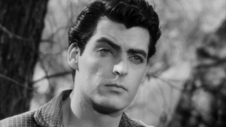 кадр из фильма Красный дом