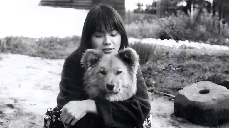 кадр из фильма 生まれた場所