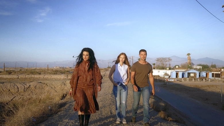 кадр из фильма Трикстер