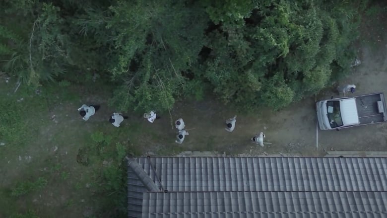 кадр из фильма 『The Color From Beyond -彼方からの色彩-』「ショートホラーフィルムチャレンジ」【GEMSTONE】