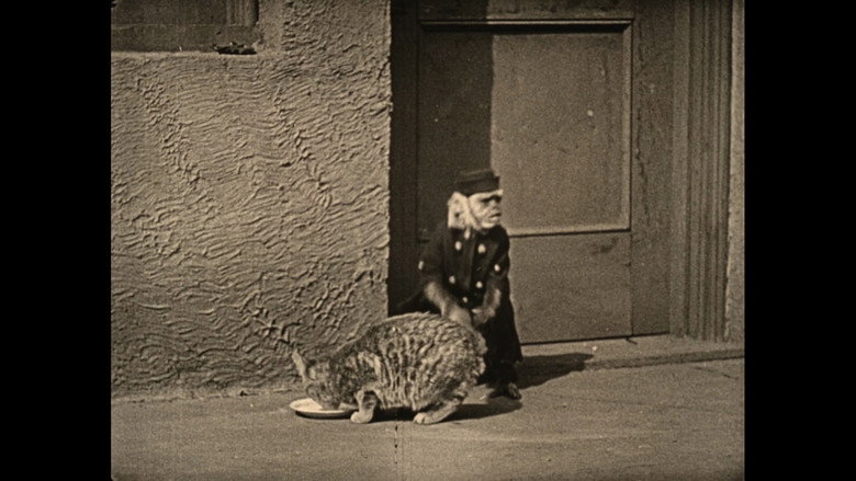 кадр из фильма Wonder Dogs! Canine Stars of the Silent Era (1898-1928)