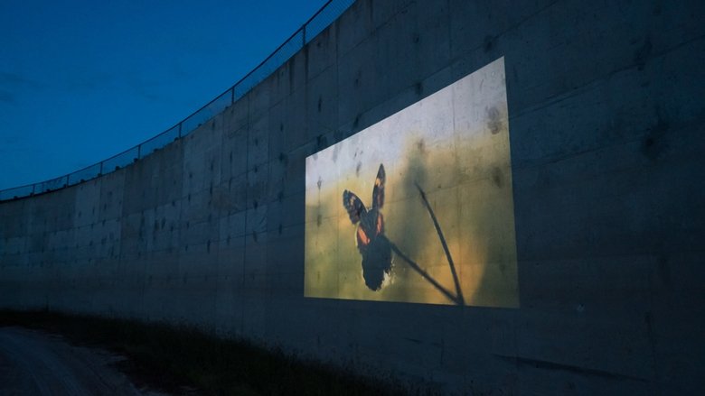 кадр из фильма Ay Mariposa