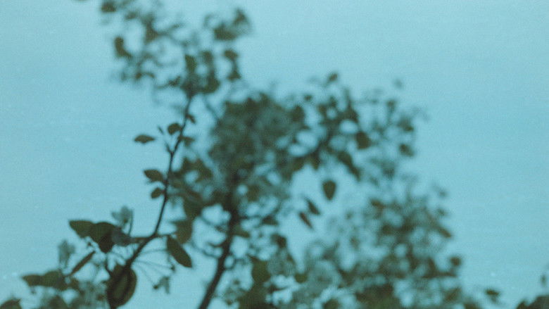 кадр из фильма Ideal and reality