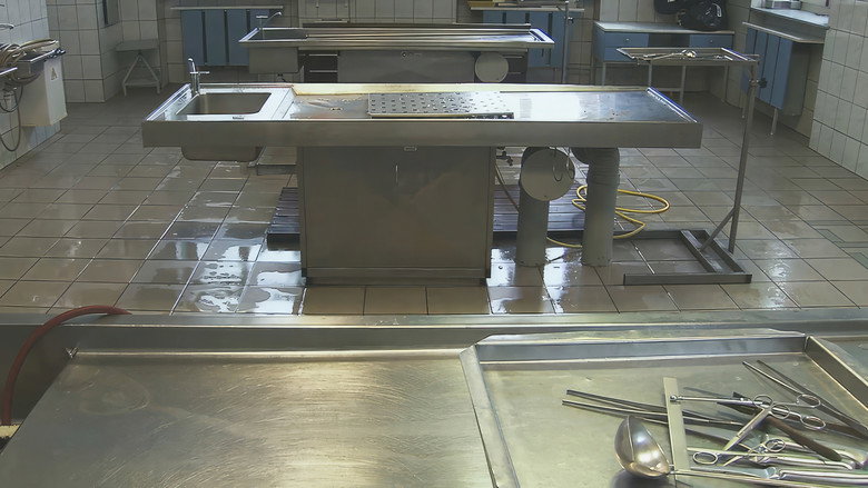 кадр из фильма Criminal Doctors, Auschwitz