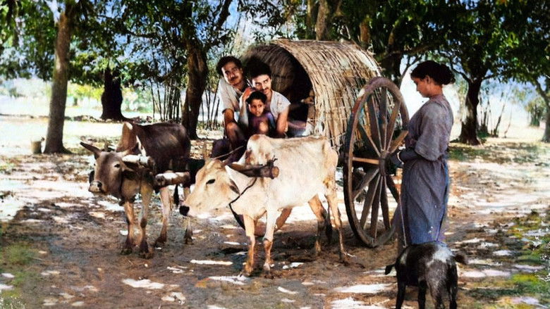 кадр из фильма ଭାଇ ଭାଇ