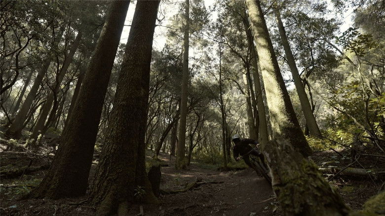 кадр из фильма Sin Límites