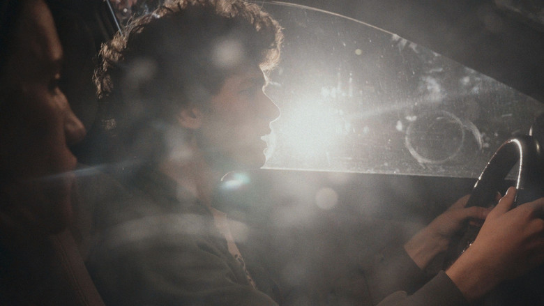 кадр из фильма White Ladybug