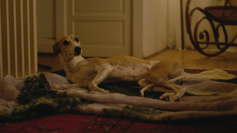 кадр из фильма The Heirloom