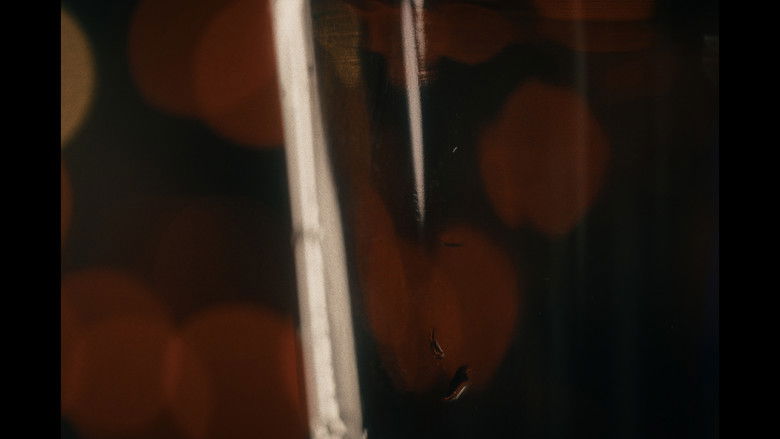 кадр из фильма Drink and Be Merry