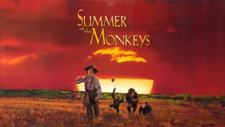 кадр из фильма Summer of the Monkeys