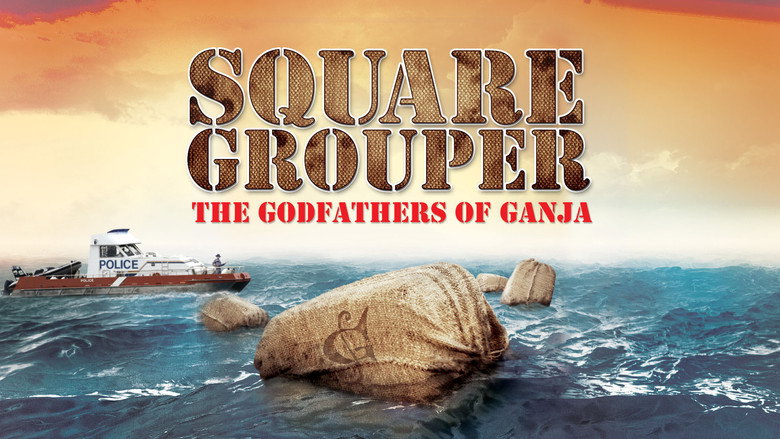 кадр из фильма Square Grouper