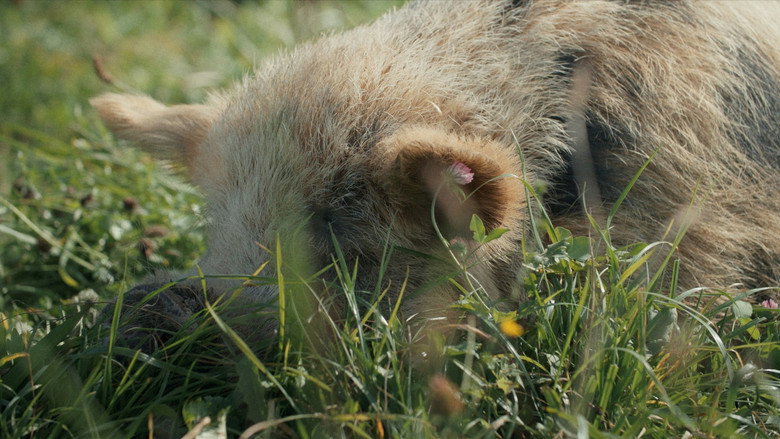 кадр из фильма When Pigs Fly