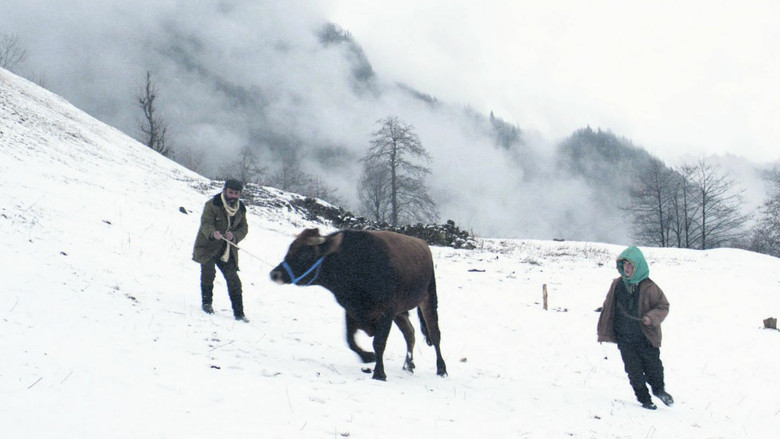 кадр из фильма Kalandar Soğuğu