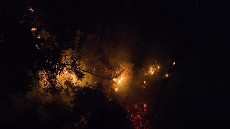 кадр из фильма Como Matar um Rio