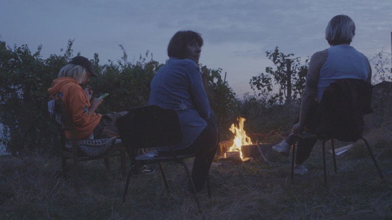 кадр из фильма Mykolaiv, Marcel, my Mom and I