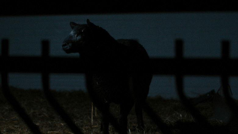 кадр из фильма Schaap