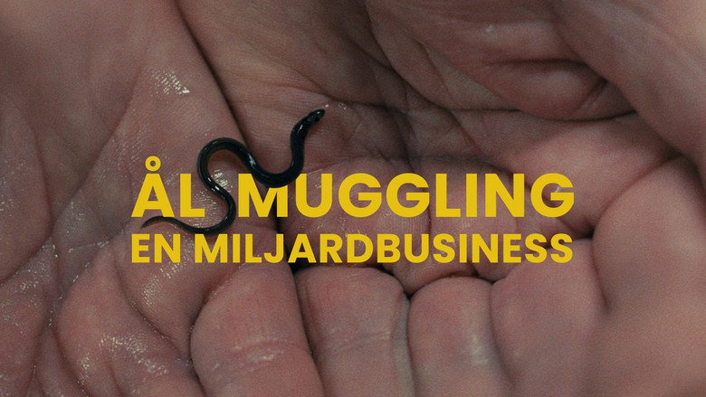 кадр из фильма Milliarden Dollar Babies: Große Gewinne mit kleinen Aalen