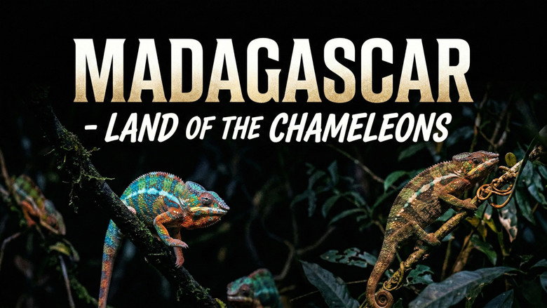 кадр из фильма Madagascar: Land of the Chameleons