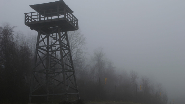 кадр из фильма Таинственный лес