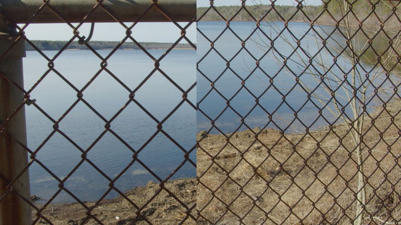 кадр из фильма Pathways