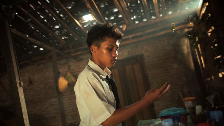 кадр из фильма Mindhon