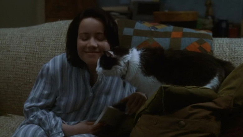 кадр из фильма Правда о кошках и собаках