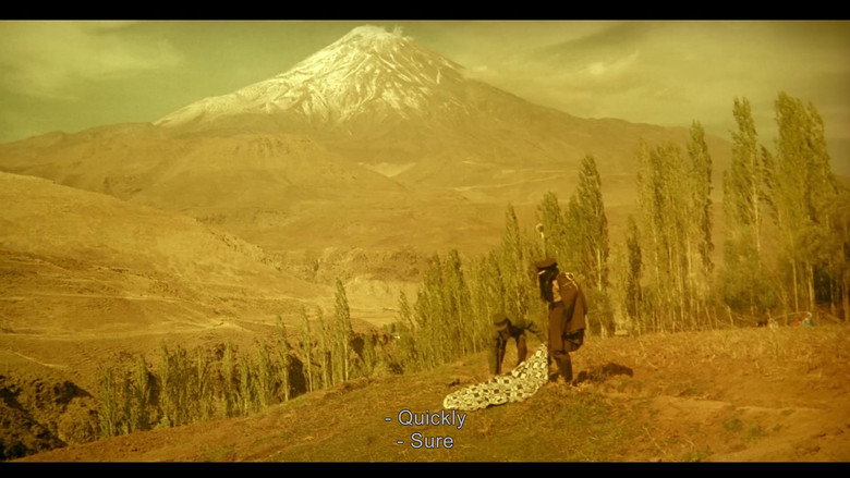 кадр из фильма درخت گلابی