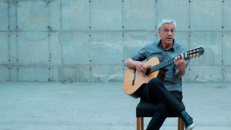 кадр из фильма Narciso em Férias