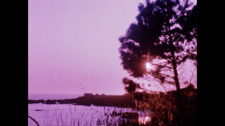 кадр из фильма Matter of Clarity