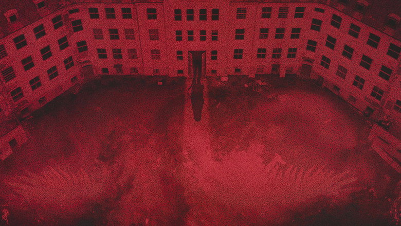 кадр из фильма Темный лес 2