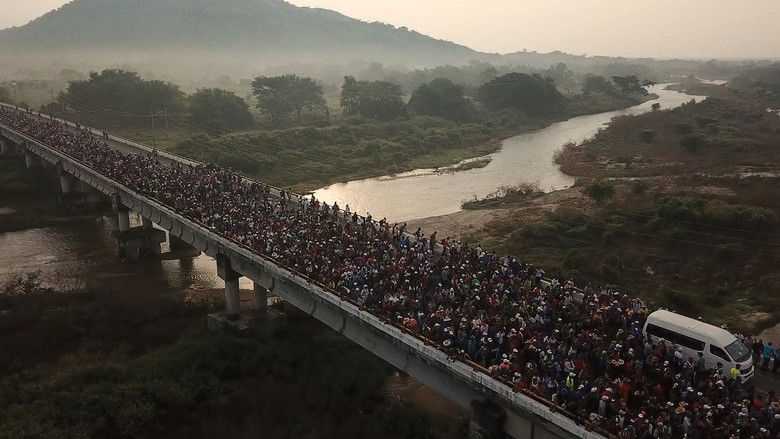 кадр из фильма In viaggio