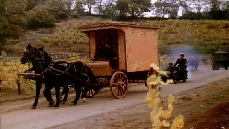 кадр из фильма The Gypsy Warriors