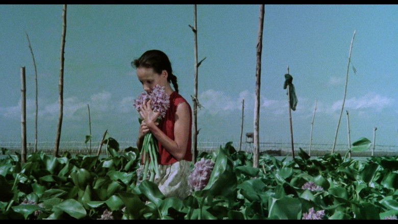 кадр из фильма Nunal sa Tubig