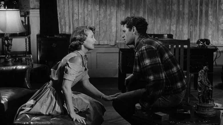 кадр из фильма The Shadow on the Window