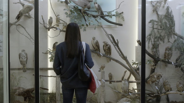 кадр из фильма Gym