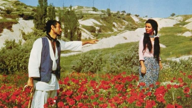 кадр из фильма Acı