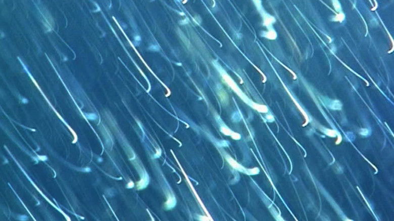 кадр из фильма The Girl from Monday