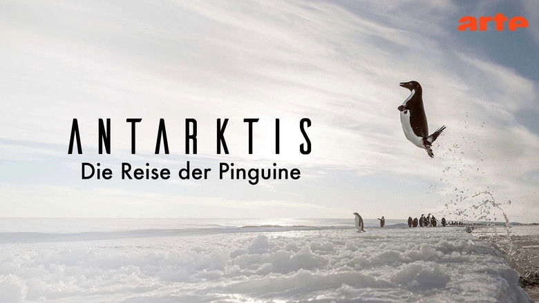 кадр из фильма Antarctica, sur les traces de l'empereur