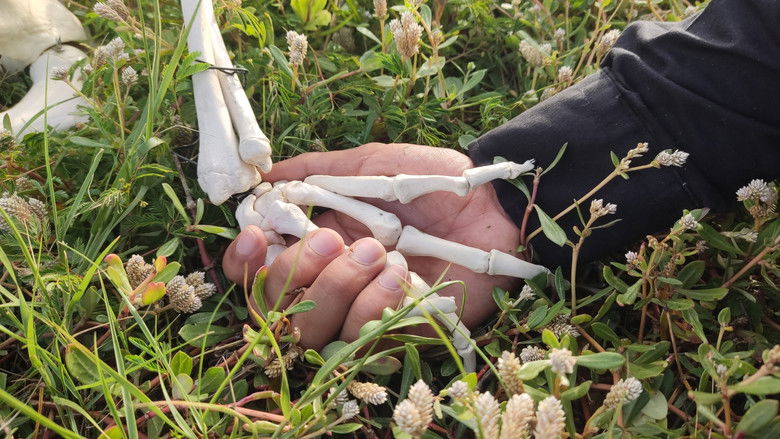 кадр из фильма ¿Qué Haré Si Te Dejo Ir?