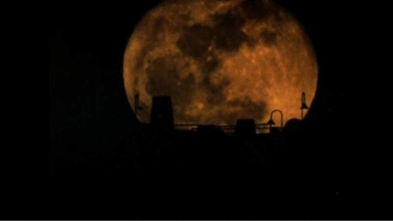 кадр из фильма The Werewolf of Washington