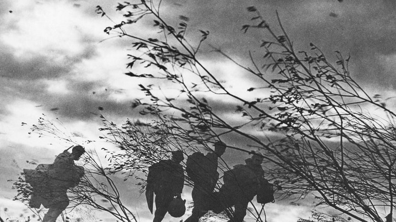 кадр из фильма Неотправленное письмо