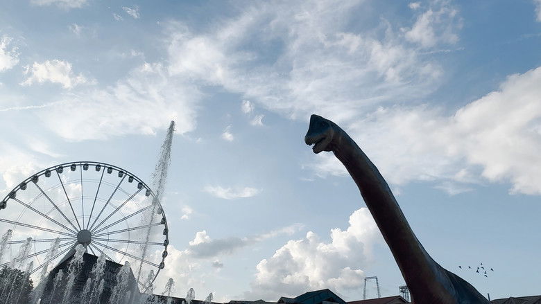 кадр из фильма Creative Eye