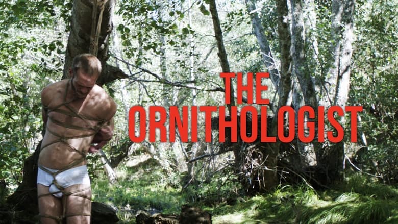 кадр из фильма Орнитолог