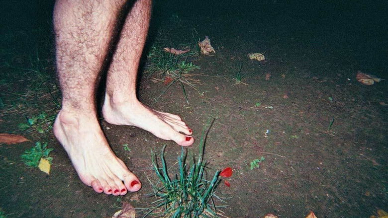 Les derniers paradis