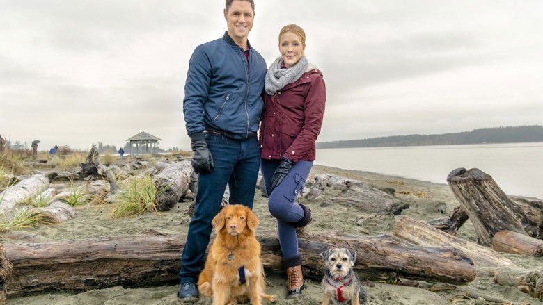 кадр из фильма Walking the Dog