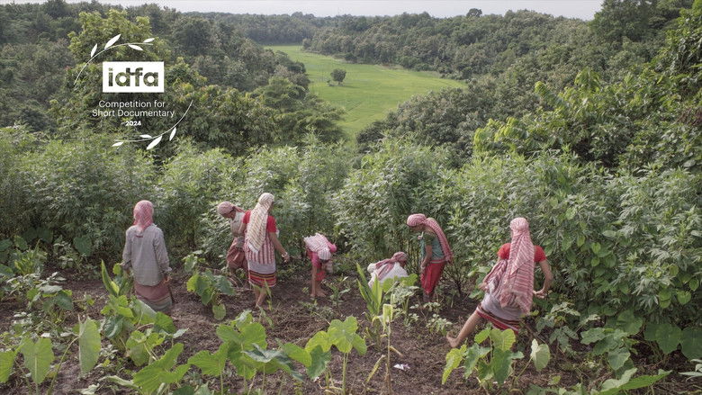 кадр из фильма Koro gochongni